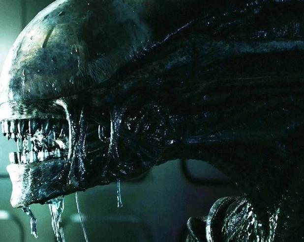 Возвращение к корням: Смотрим первый трейлер фантастического фильма ужасов «Чужой: Ромул»